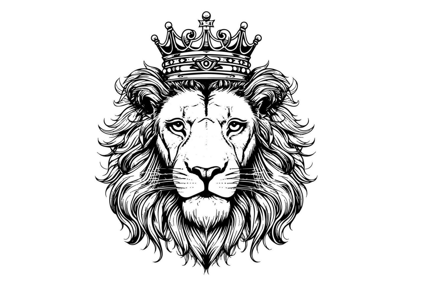 The lion head in crown hand draw vintage engraving  black and white vector illustration on a white background.