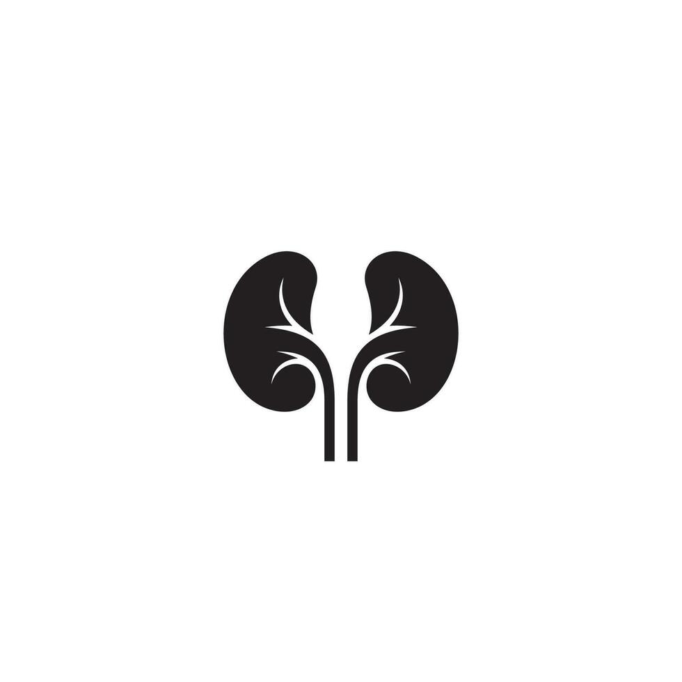 Kidney logo or icon design vector