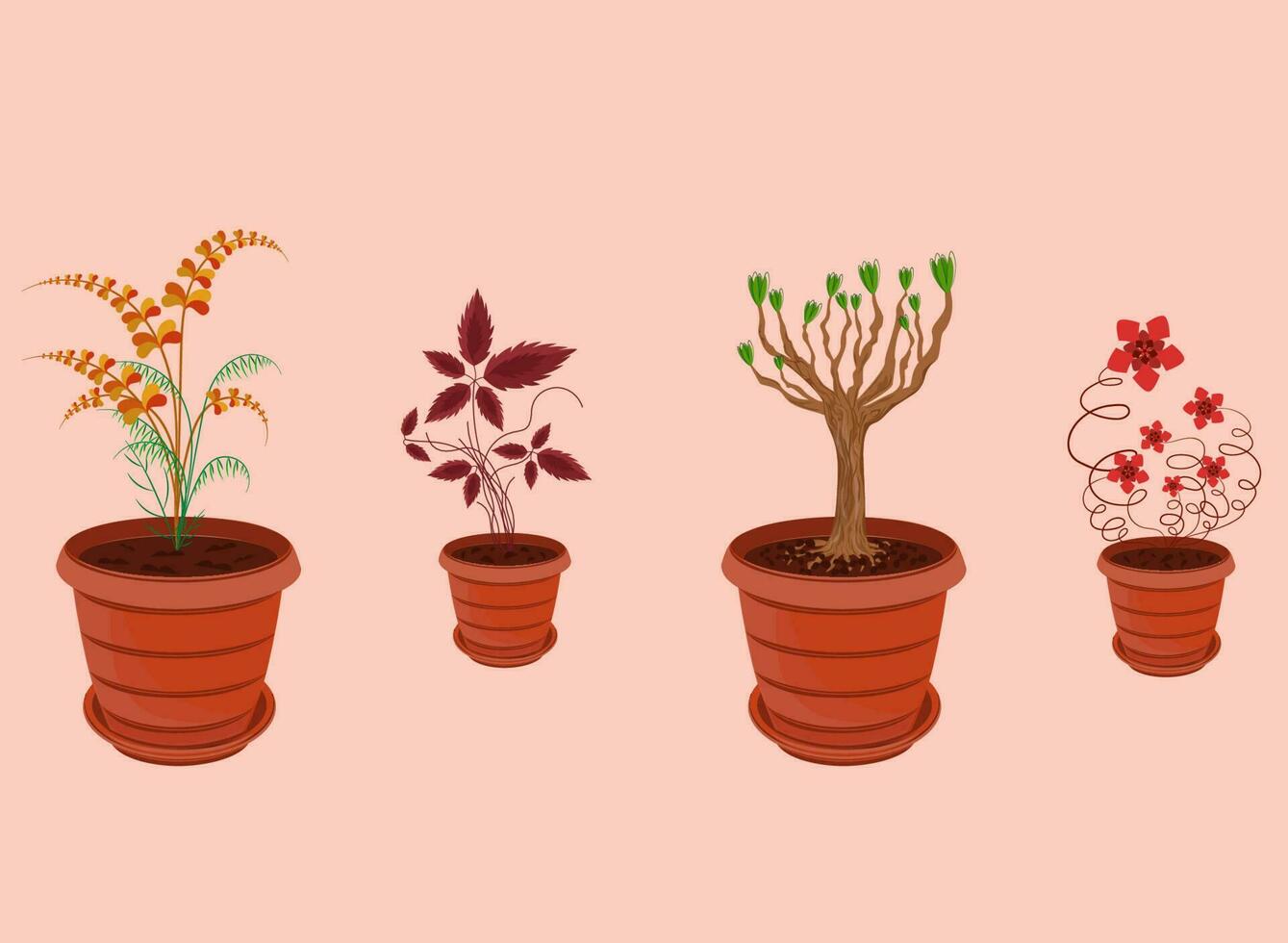 Houseplant collection 4 types of plants vector