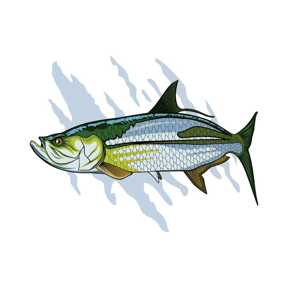 vector illustration tarpon
