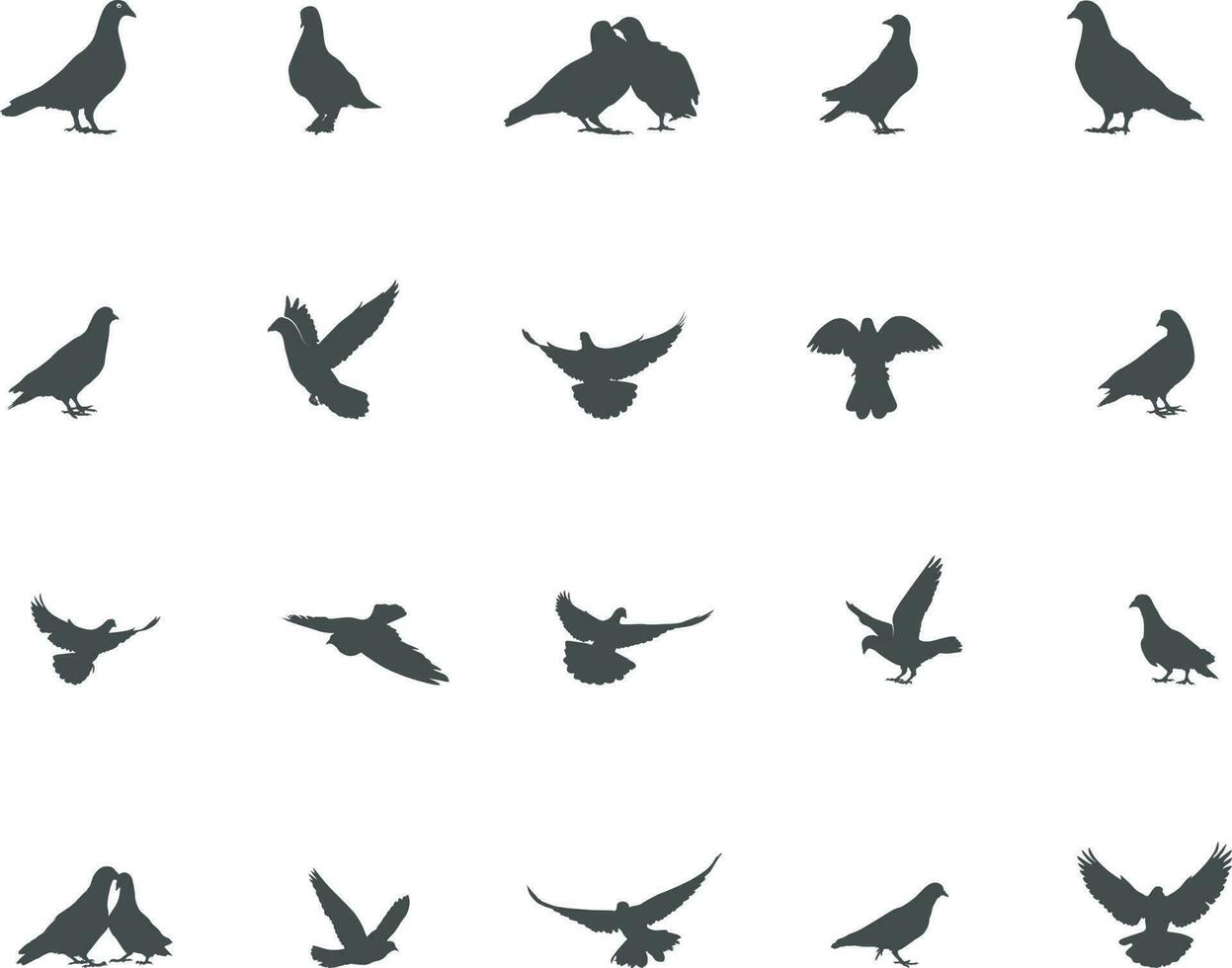 Pigeon silhouette, Pigeon vector illustration, Pigeon bird silhouette.
