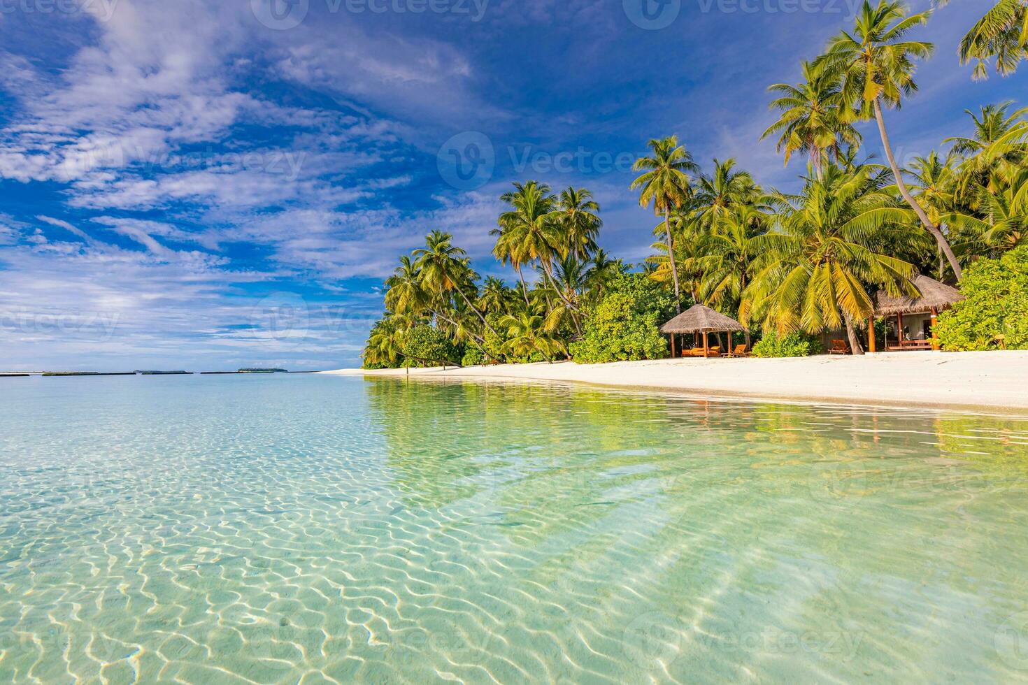 Beach landscape in beautiful sunlight. Exotic nature as tropical scenery with palms and peaceful blue sea. Natural colors and light, summer nature background concept, inspirational and motivational photo