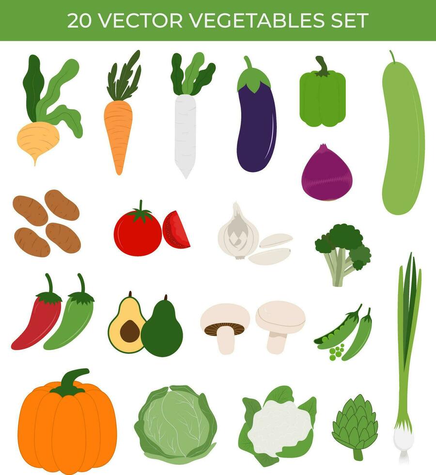 conjunto de 20 vegetales vector, colección de 20 vector vegetales