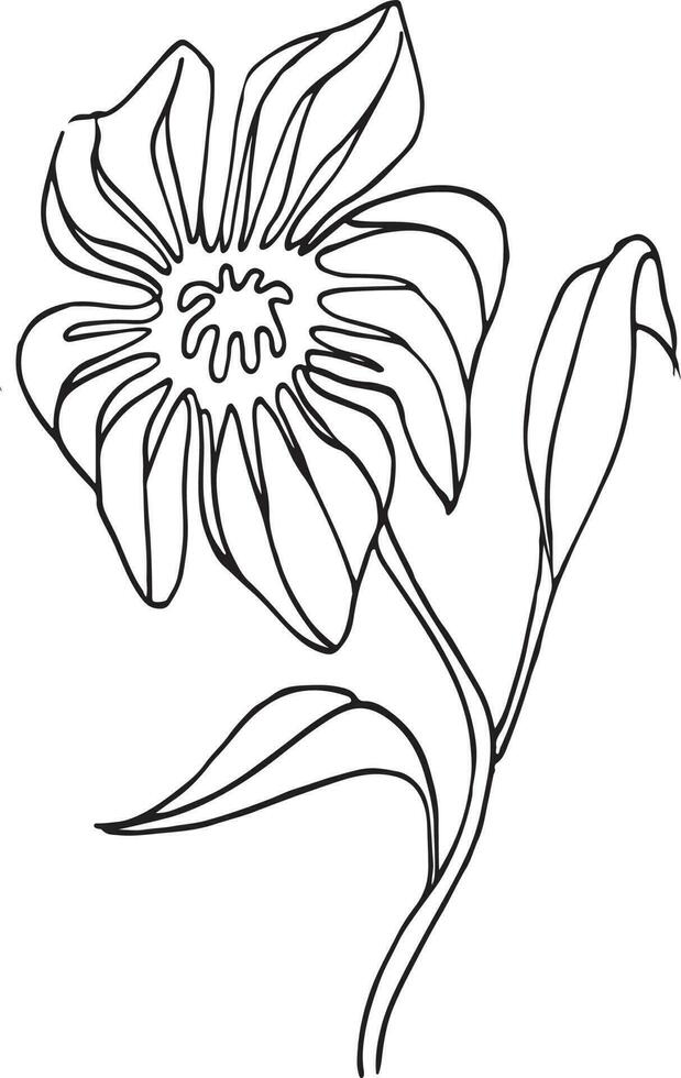 Lily Flower, Hand drawn vector illustration, floral line drawing, line art, black and white vector