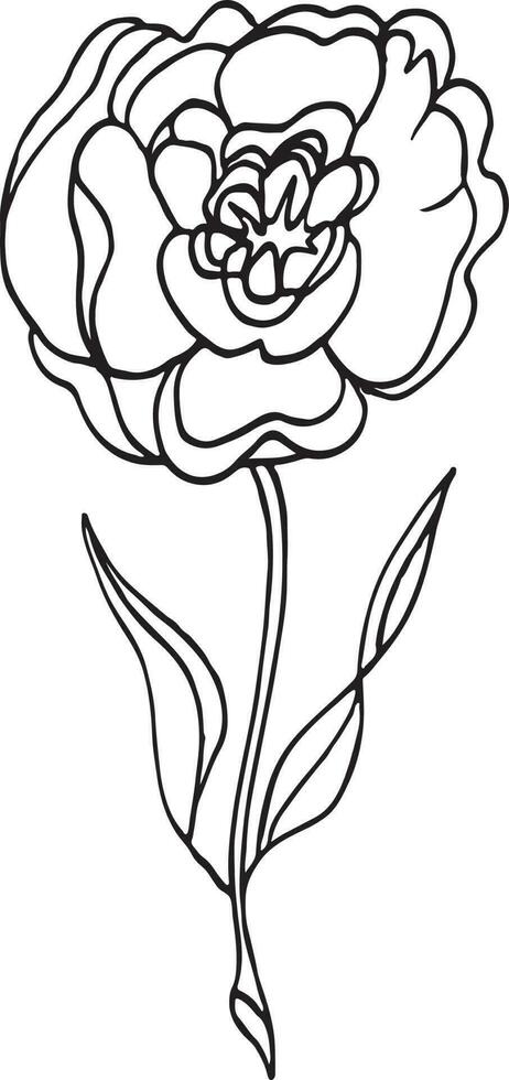 one line drawing. the garden rose with leaves. hand drawn sketch. vector illustration.