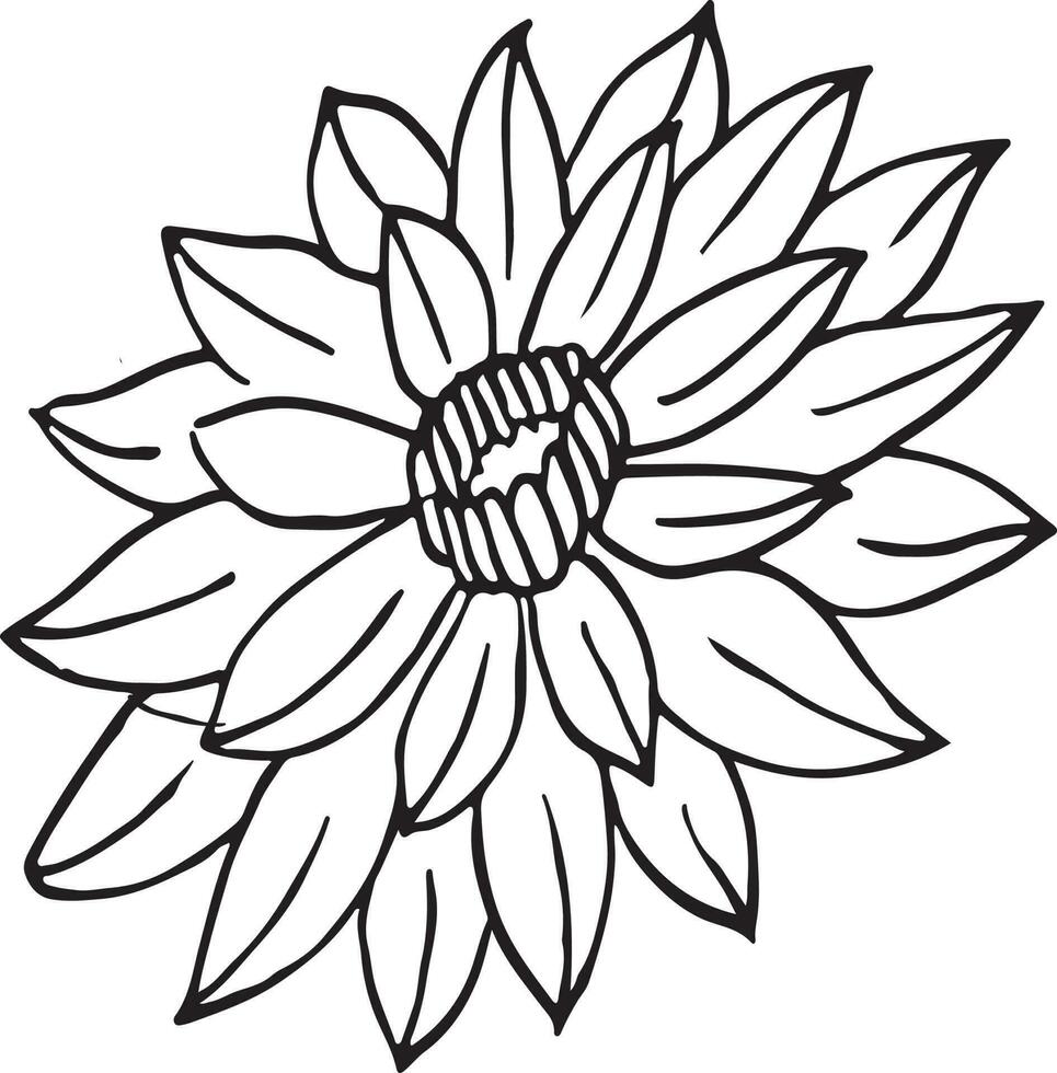 Poppies flowers continuous line drawing. Editable line. Black and white art vector