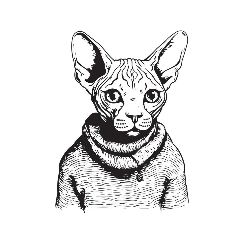 sphynx cat wearing sweater, vintage logo line art concept black and white color, hand drawn illustration vector
