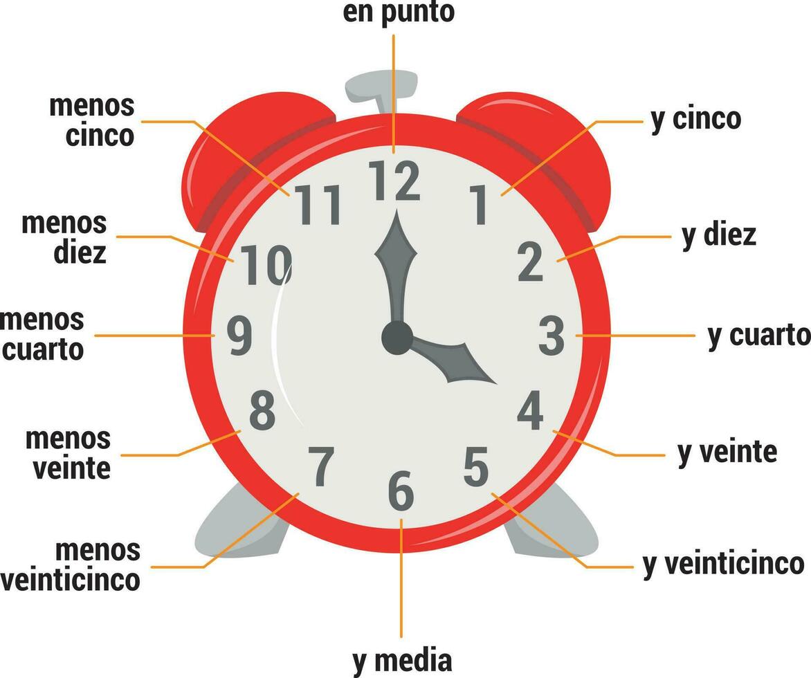 The time vocabulary in Spanish Vector Illustration. Educational material for primary school students