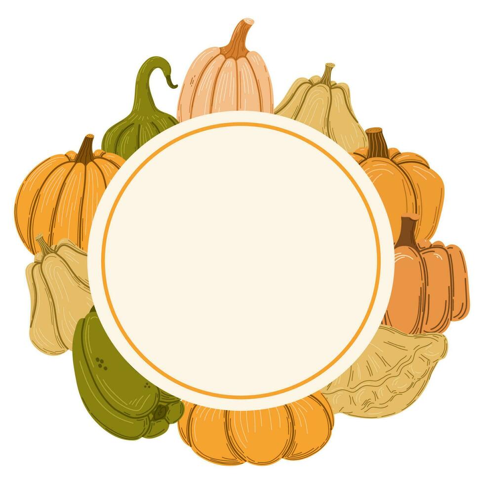 Autumn squashes round frame. Vector illustration.