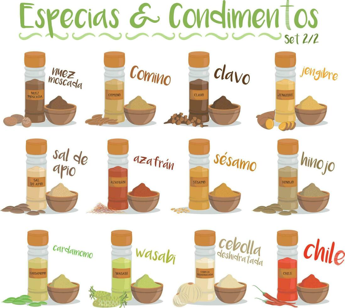 Set of 12 different culinary species and condiments in cartoon style. Set 2 of 2. Spanish names. vector