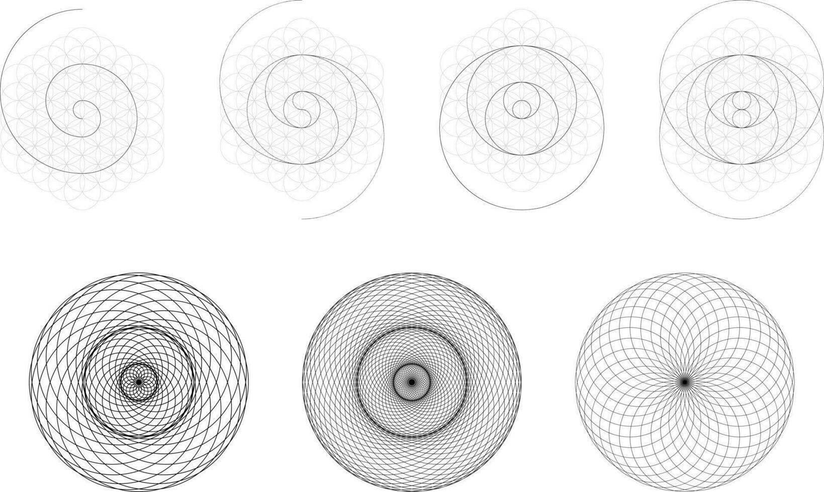 Set of geometrical elements and shapes. Sacred Geometry Torus Yantra or Hypnotic Eye development. Vector designs