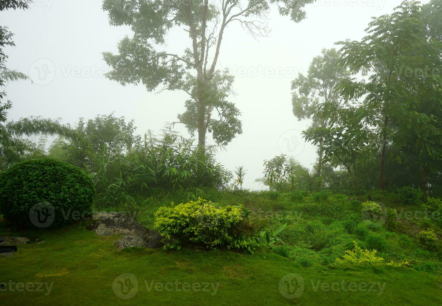 Foggy Weather of Lungchok at East Sikkim photo