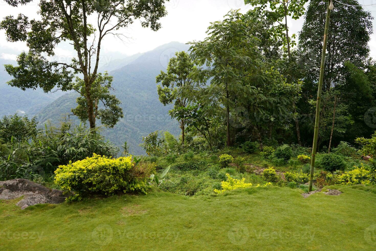 Mountain View Point of Sikkim Offbeat Place Lungchok photo