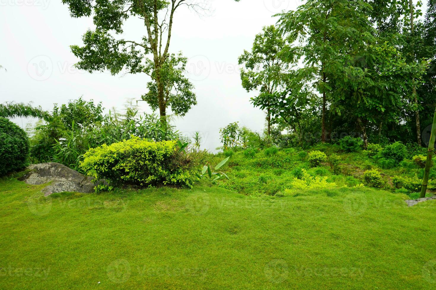 Greenery View of Lungchok, A offbeat Village of East Sikkim photo