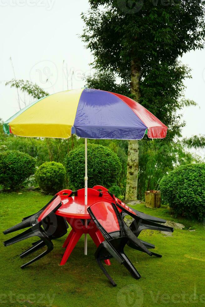 Chair Table Umbrella and Green Grass Real photo