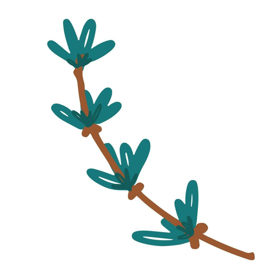 Hand drawn illustration of conifer branch. Christmas decorative floral element in doodle style vector