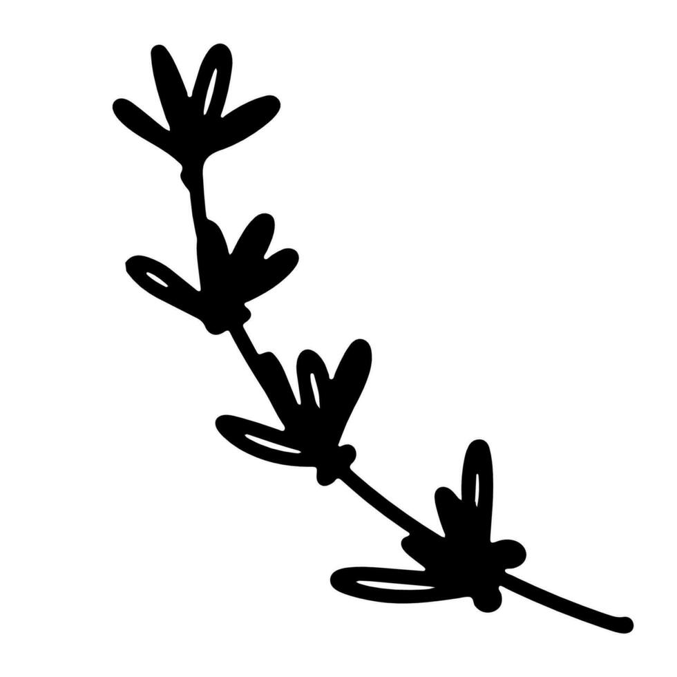 Hand drawn outline illustration of conifer branch. Christmas decorative floral element in doodle style vector