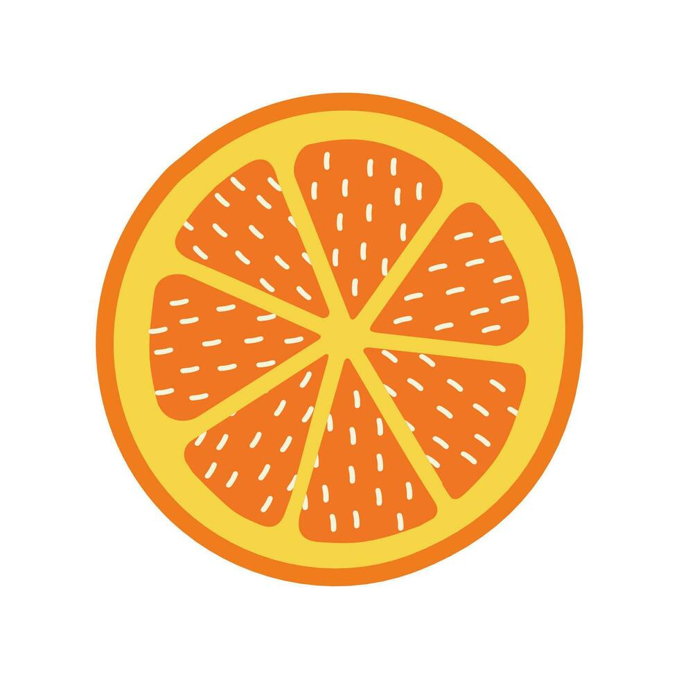 Orange slice vector isolated clipart. Hand-drawn citrus tangerine slice illustration