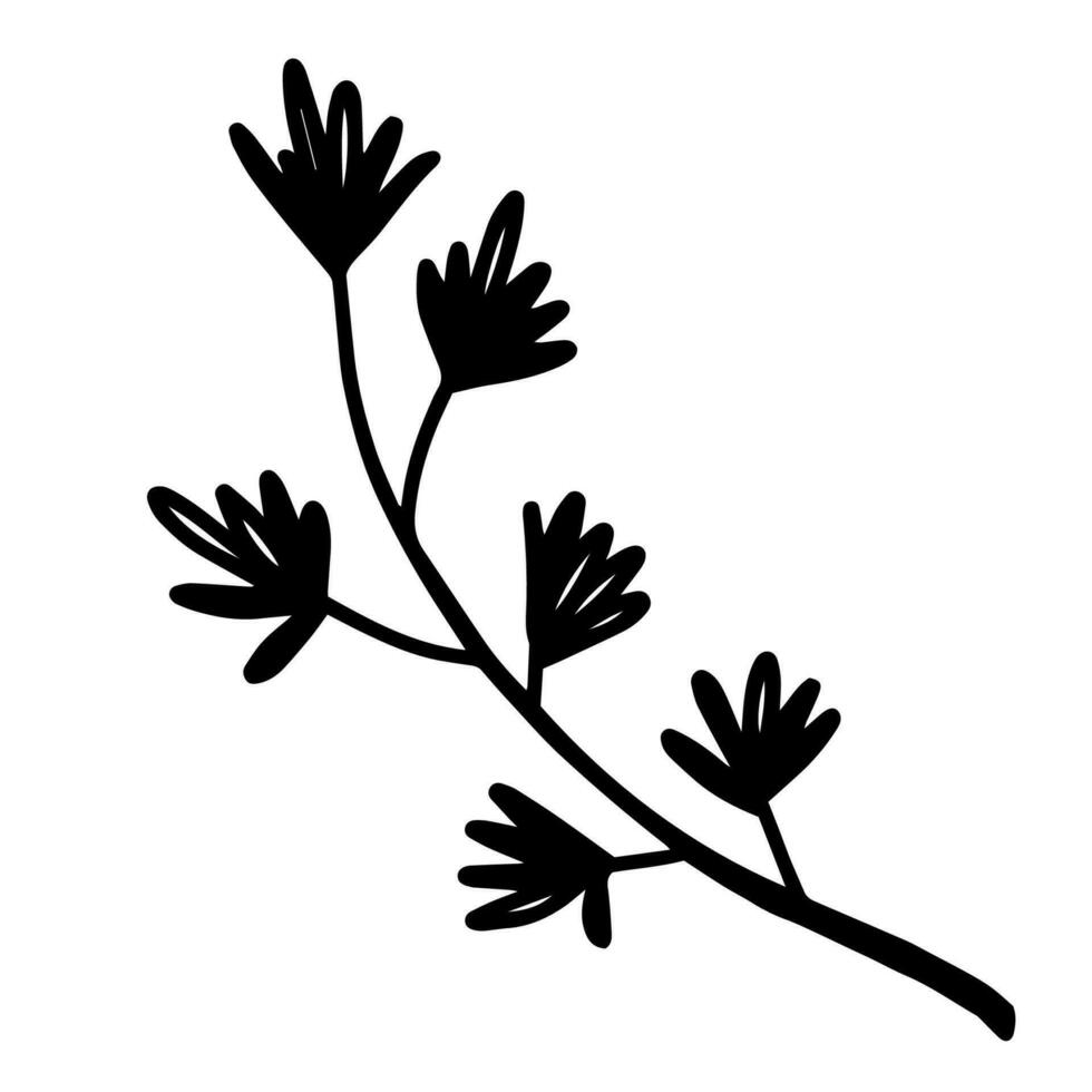 Hand drawn outline illustration of conifer branch. Christmas decorative floral element in doodle style vector