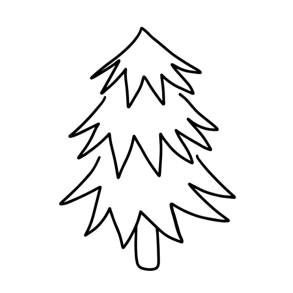 Hand drawn outline illustration of larch. Coniferous tree in doodle style vector