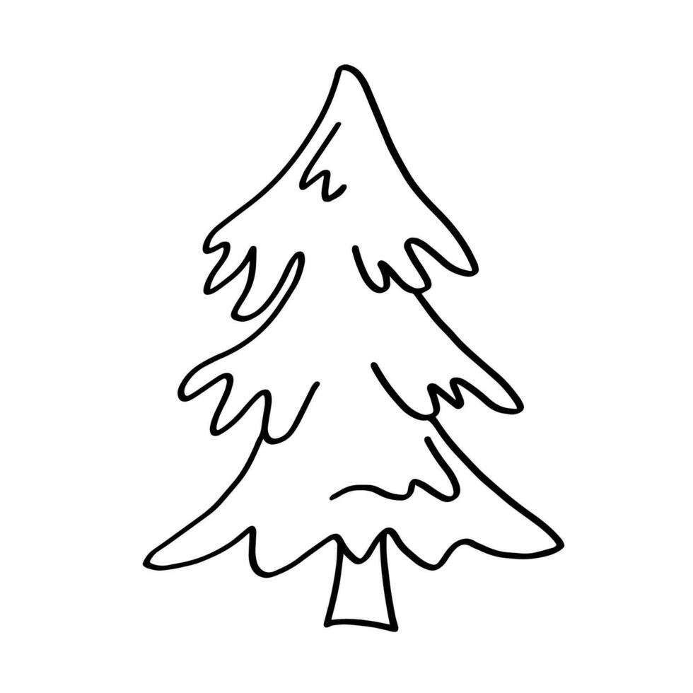 Hand drawn outline illustration of fir. Coniferous tree in doodle style vector