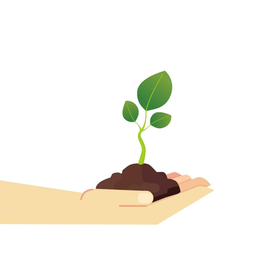 Hand Holding Plant Illustration vector