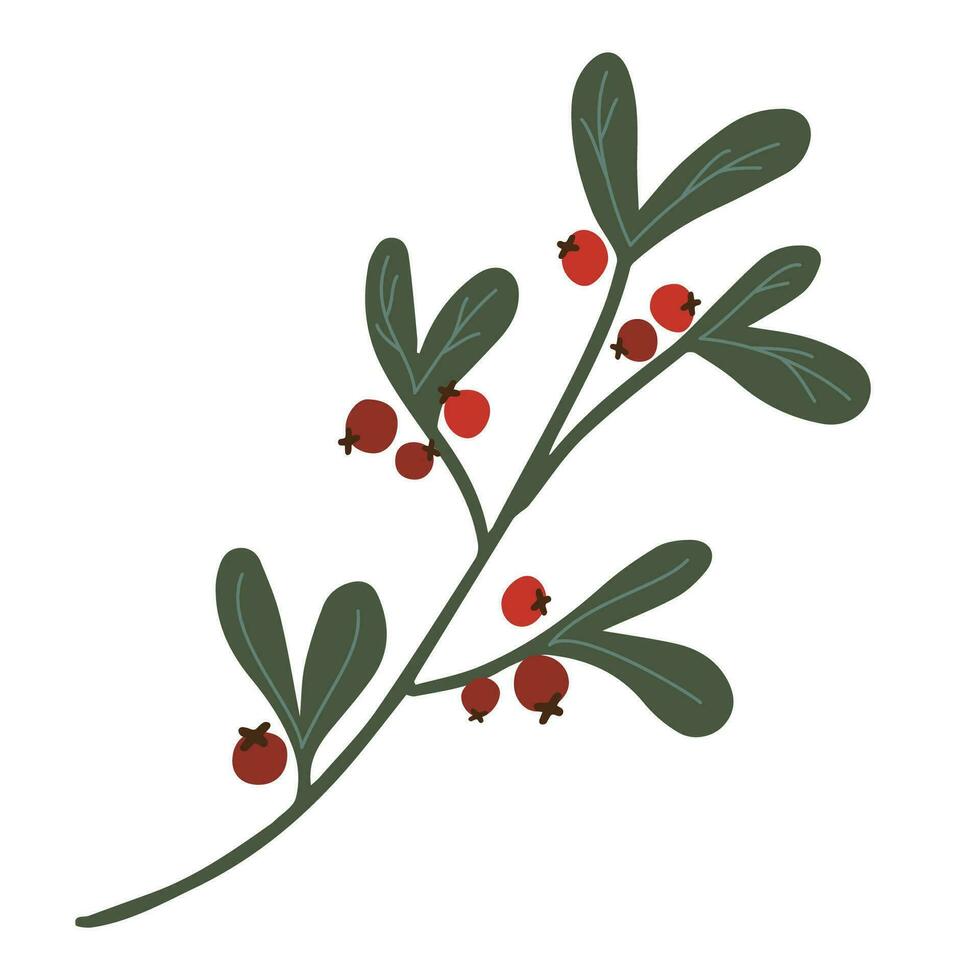 Hand drawn mistletoe vector isolated clipart. Christmas decorative floral element in doodle style