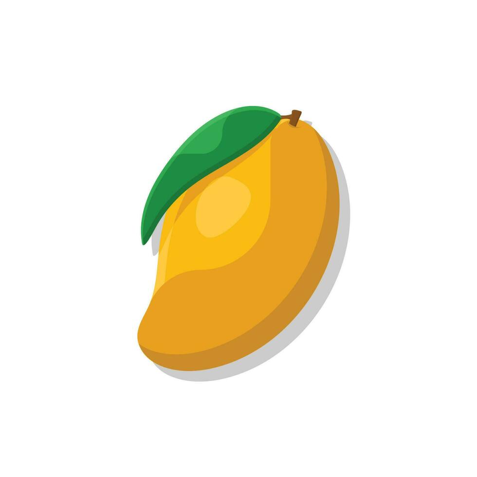 Mango food vector