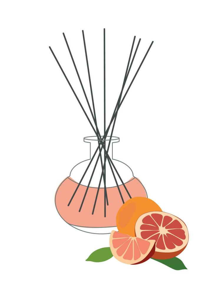 Home aromatherapy Vector isolated illustration. Diffuser with sticks orange  and grapefruit citrus fragrance