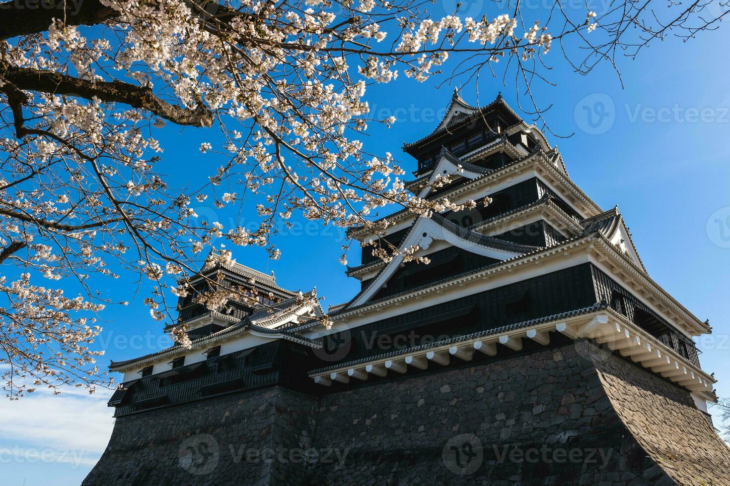 Tenshu of Kumamoto castle in kumamoto city, kyushu, japan photo