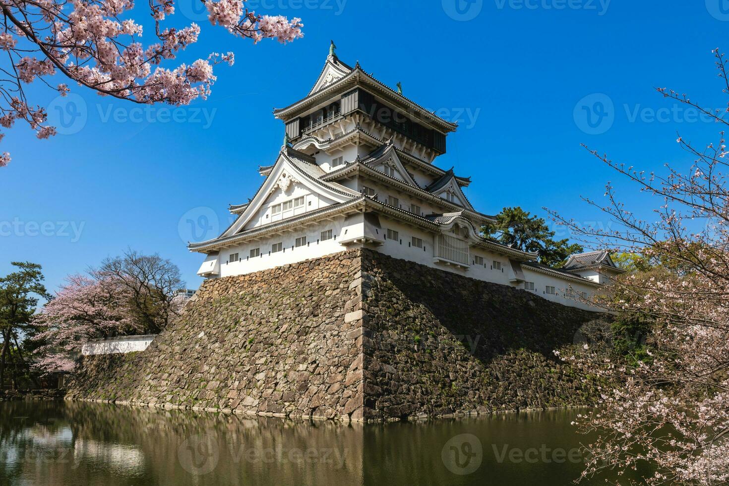 Cereza florecer a kokura castillo en kitakyushu, fukuoka, Japón. foto