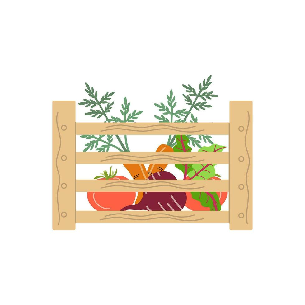 Box with vegetables. Mesh eco bag full of vegetables. Vector illustration in flat cartoon style. Modern shopper with fresh organic food from local market.  Carrot, beet, tomato.