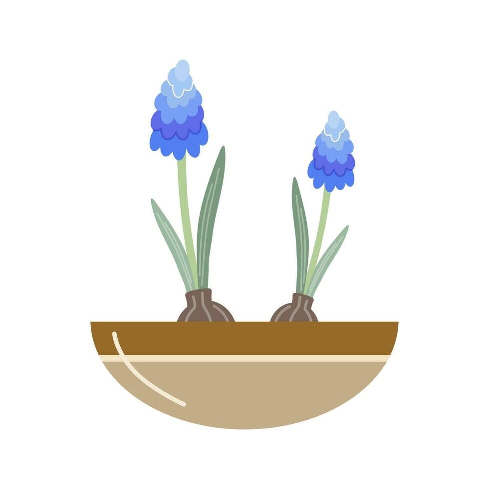 Lavender vector icon. Lavender flowers in pot. Flat vector icon isolated on white background.  Illustration of garden elements.