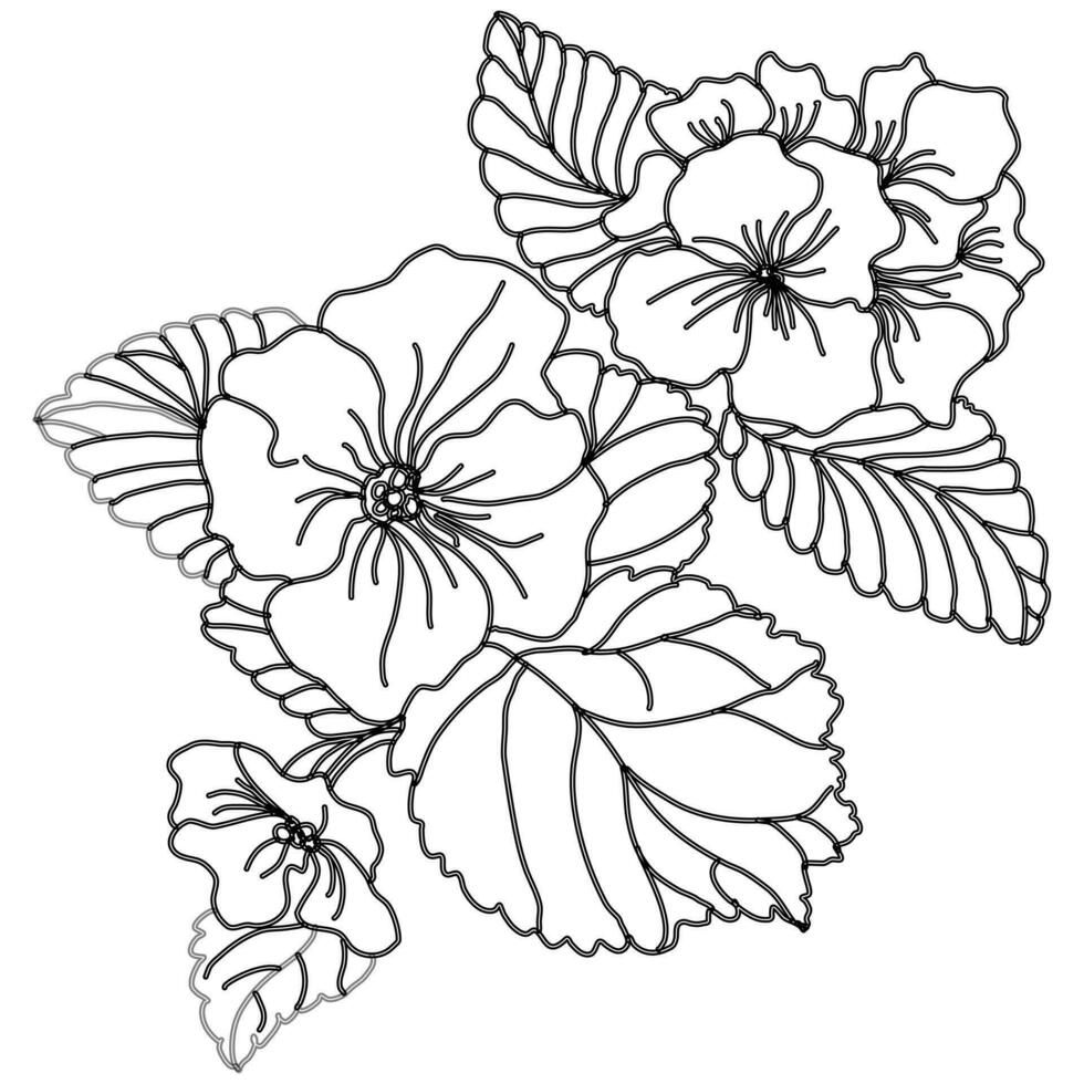 primrose bouquet illustration vector