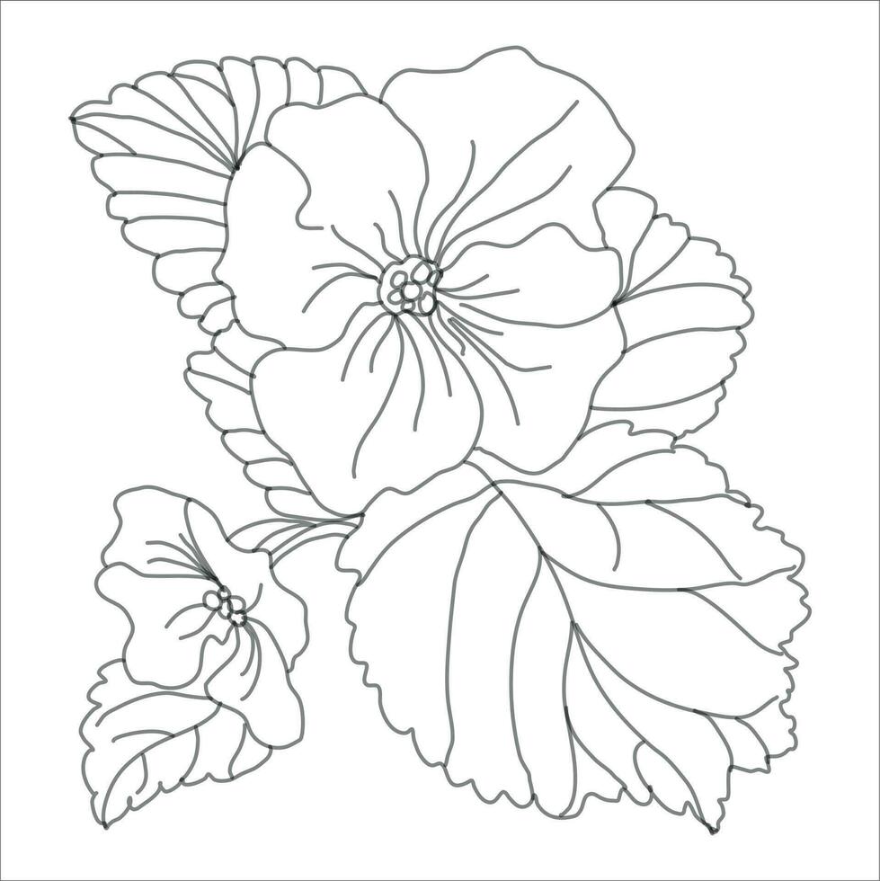 primrose bouquet illustration vector
