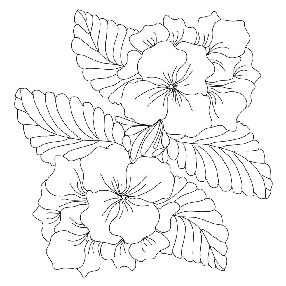 primrose bouquet freehand drawing vector