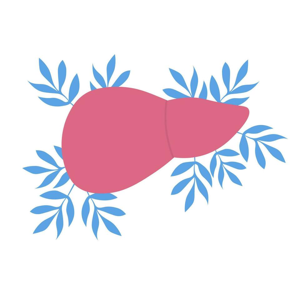 Liver organ hand drawn flat vector illustration on isolated white background. For medicine, gastroenterologist, infectious disease specialist, for World Hepatitis Day, for World Healthy Liver Day