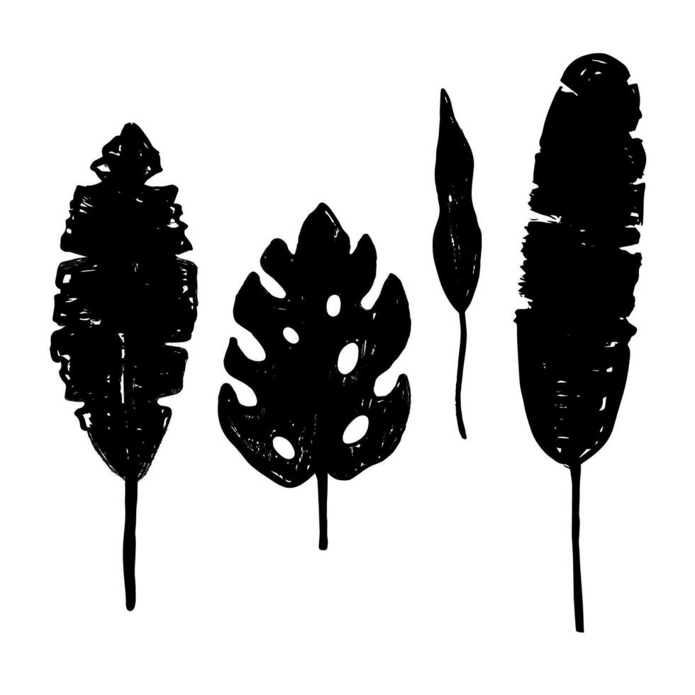 Tropical plant leaves silhouettes set . Doodle with palm and banana leaves and monstera leaf and philodendron  hand drawn with ink. Decorative floral collection. Design element vector illustration