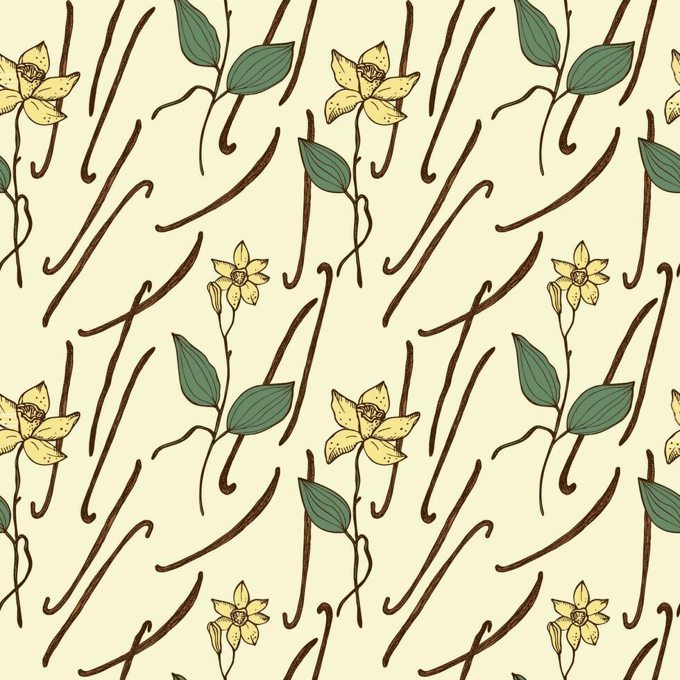 Vanilla Seamless repeating pattern with fragrant spice bouquet of vanilla plant. Illustration of a floral background. Hand drawn. Design element for textile, label backdrop for food, cosmetics.Vector vector