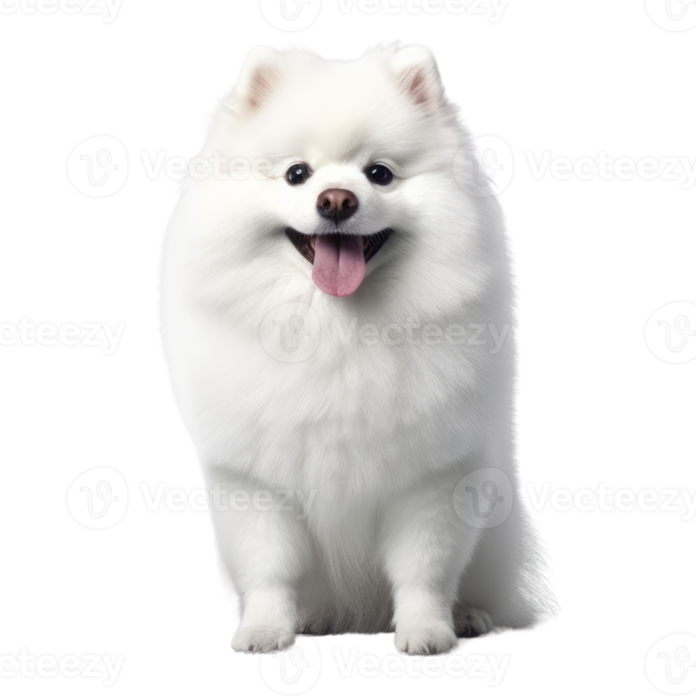 Illustration painting of cute dog isolated transparent background, Digital art, , png