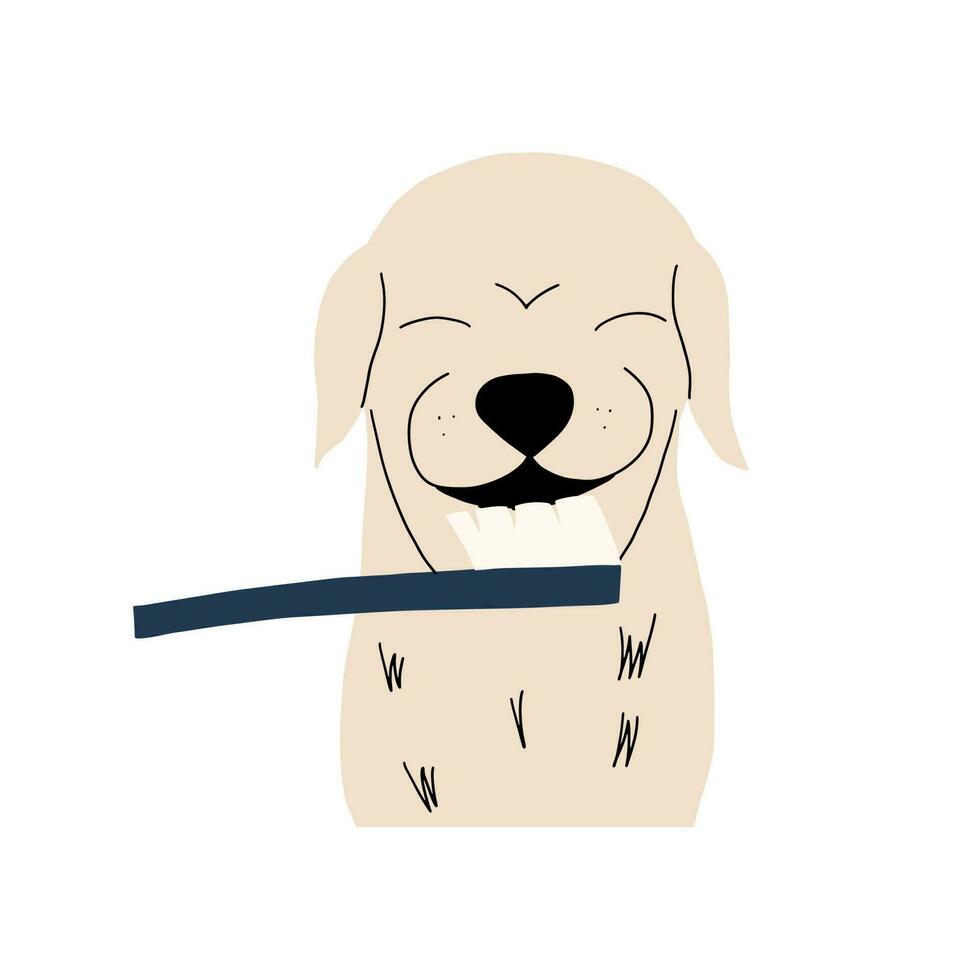 Canine dental care and hygiene. Labrador getting his teeth cleaned with a toothbrush. Vector illustration in hand drawn style