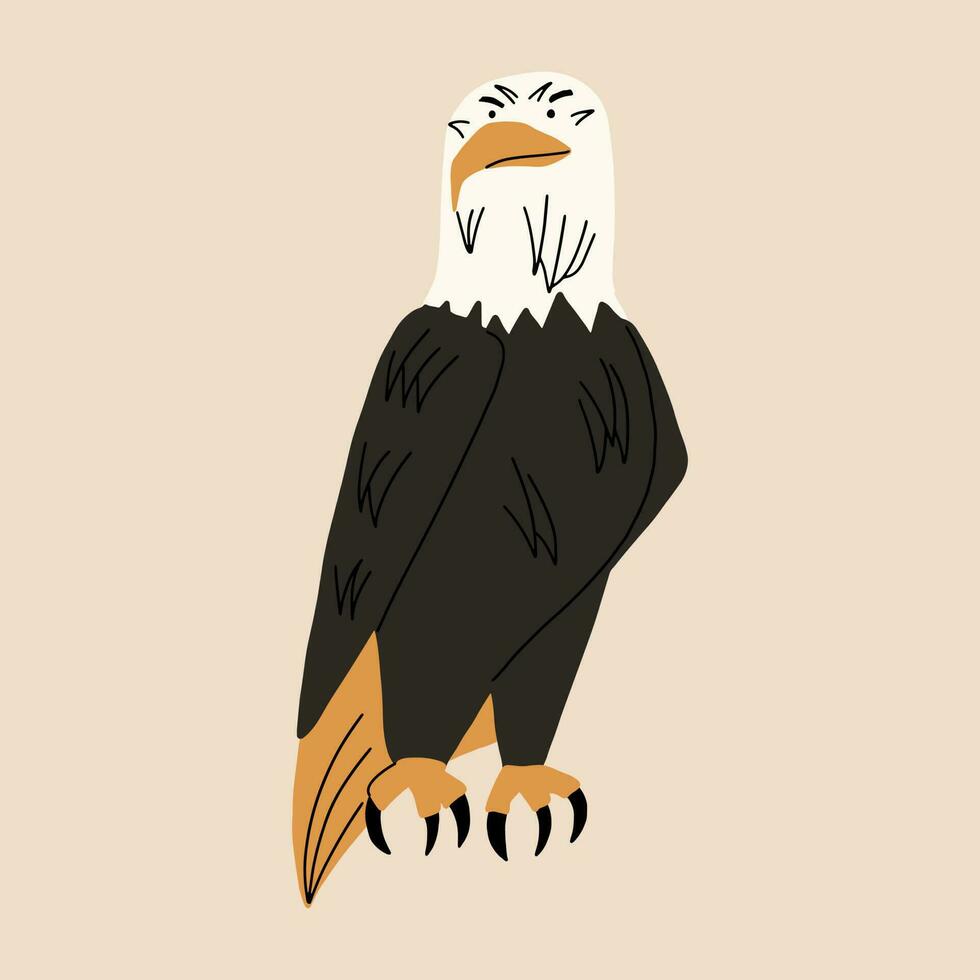 calvo águila, pájaro de presa. vector ilustración en plano estilo