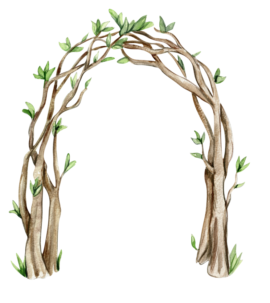 Woven branch arch for fairy. Watercolor hand drawn illustration . png