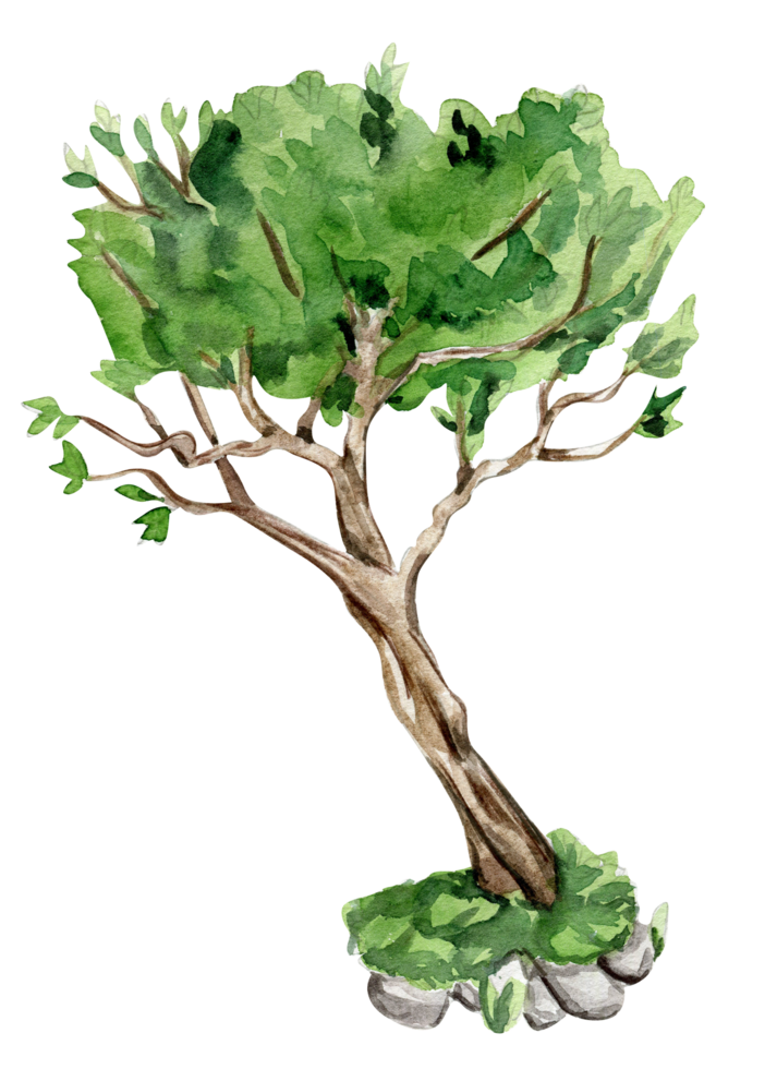 Grün Baum . Aquarell Hand gezeichnet Illustration . png