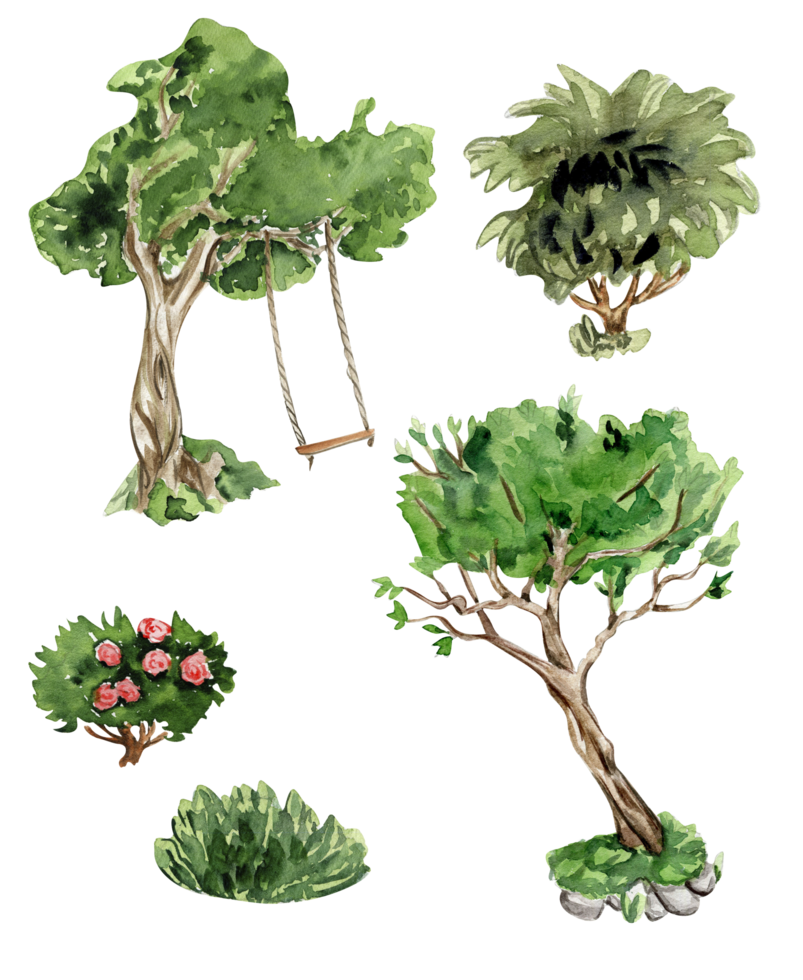 Grün Baum und Gebüsch . Aquarell Hand gezeichnet Illustration . png