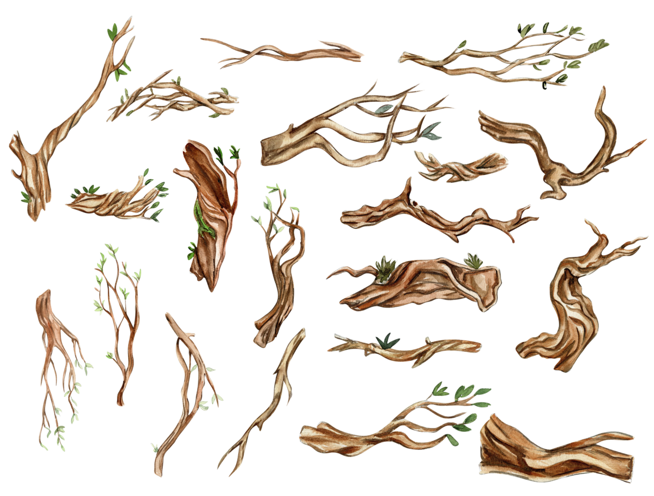 Teile von Baum mit Blätter, Geäst . Aquarell Hand gezeichnet Illustration . png