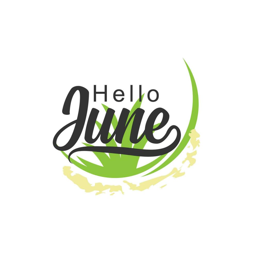 escrito frase para bandera, mano dibujado tipografía letras frase Hola junio. Hola junio frase para calendario, volantes, saludo tarjeta, calendario. vector