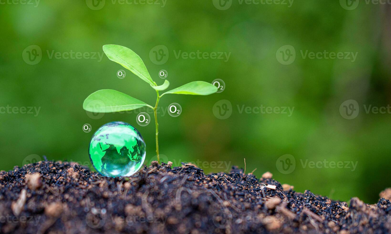 CO2 emission reduction concept, clean and friendly environment without carbon dioxide emissions. Planting trees to reduce CO2 emissions, environmental protection concept. photo