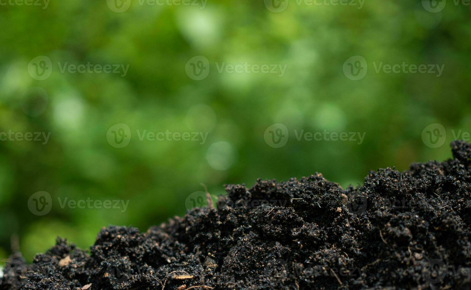 antecedentes con suelo y verde desde naturaleza. ambiental proteccion concepto, repoblación forestal, co2 reducción, reciclar. foto