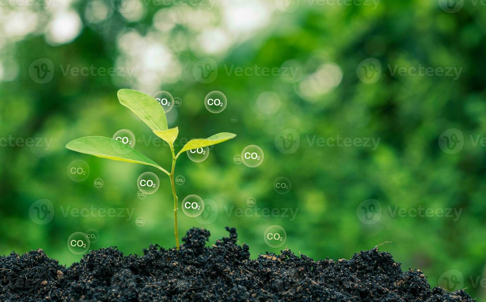CO2 emission reduction concept, clean and friendly environment without carbon dioxide emissions. Planting trees to reduce CO2 emissions, environmental protection concept. photo